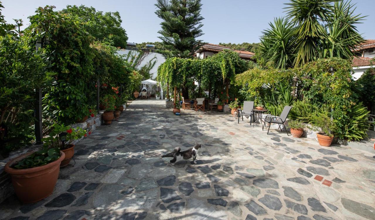 Katikies Stamatias Studios & Maisonettes Agnontas Exterior photo