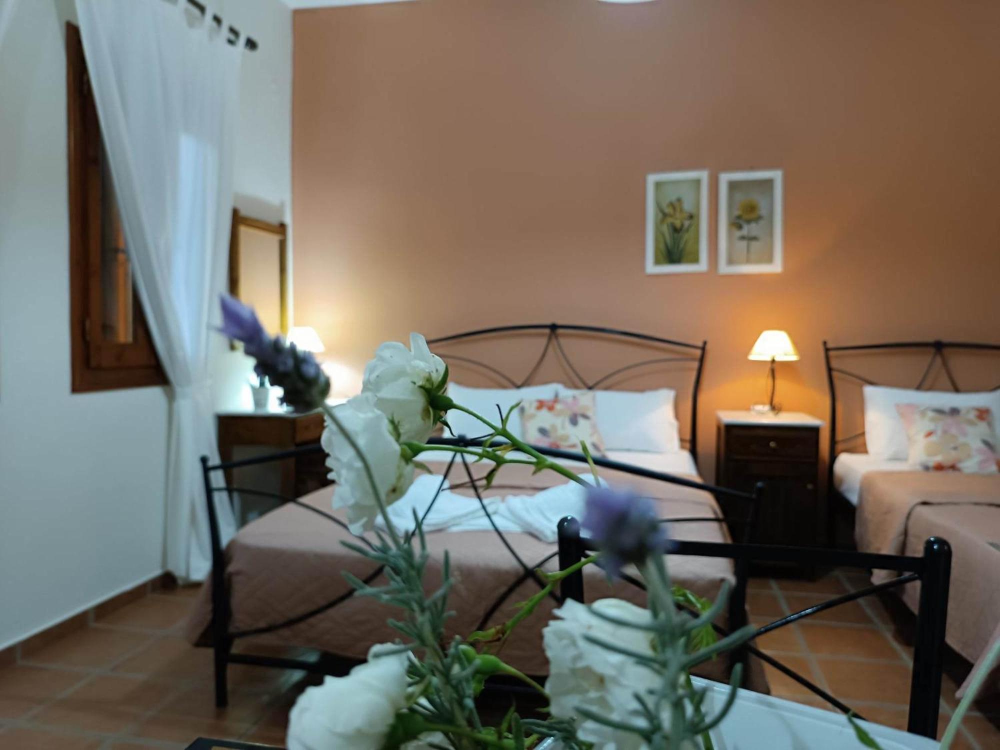 Katikies Stamatias Studios & Maisonettes Agnontas Exterior photo